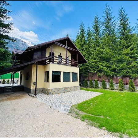 Ollie'S Mountain Chalet Buşteni Exteriör bild
