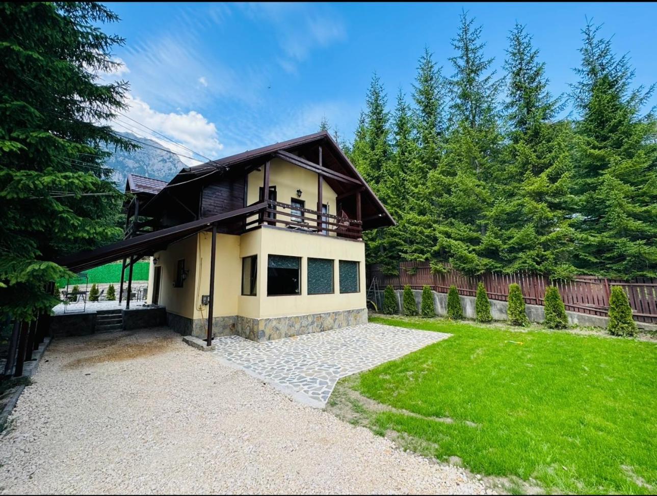 Ollie'S Mountain Chalet Buşteni Exteriör bild