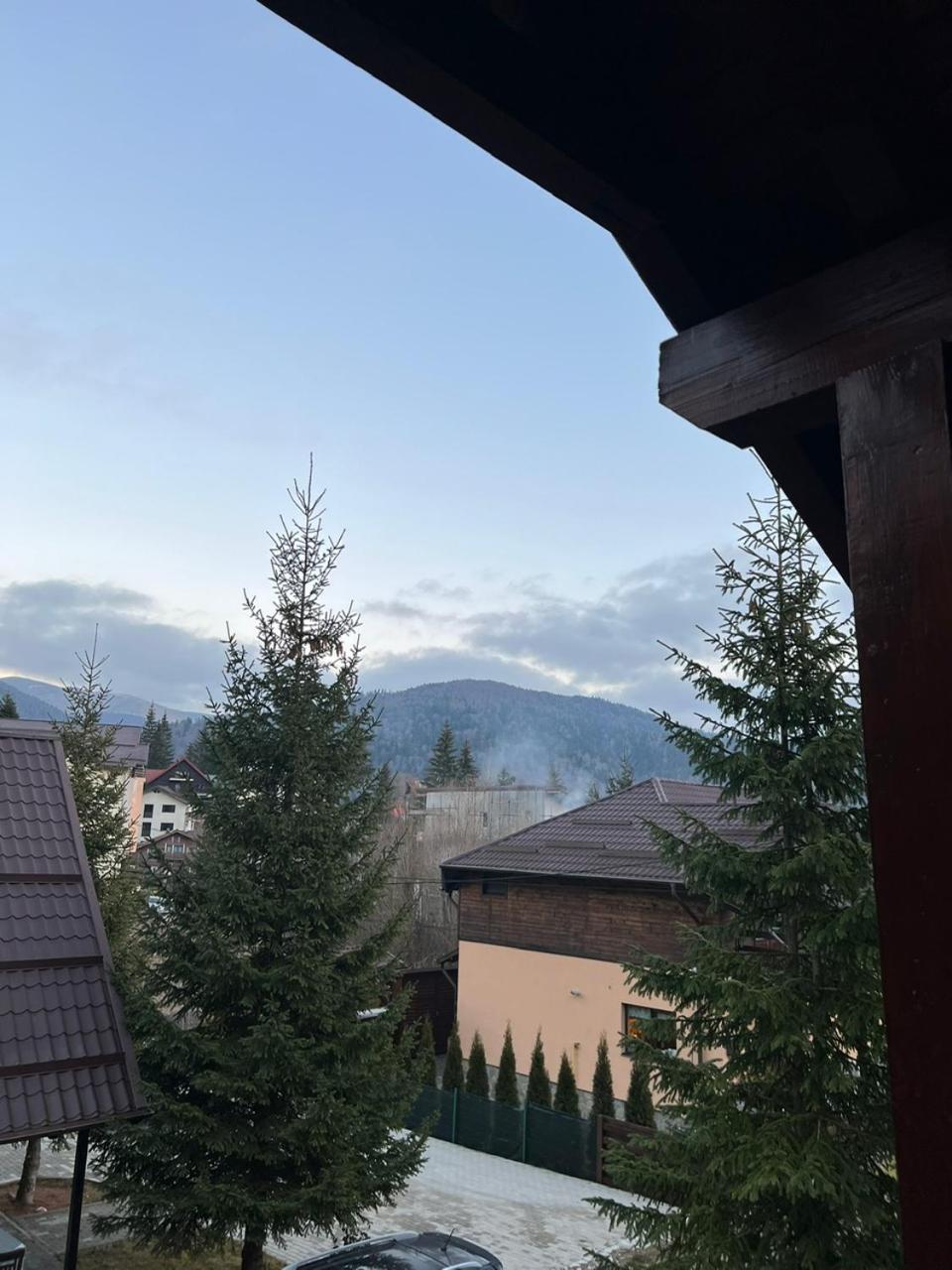 Ollie'S Mountain Chalet Buşteni Exteriör bild